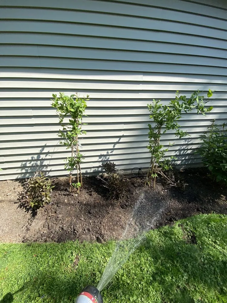 Local yard cleanup service for beautiful yards in Chicago, IL by M&S Landscape Services & Snow Removal