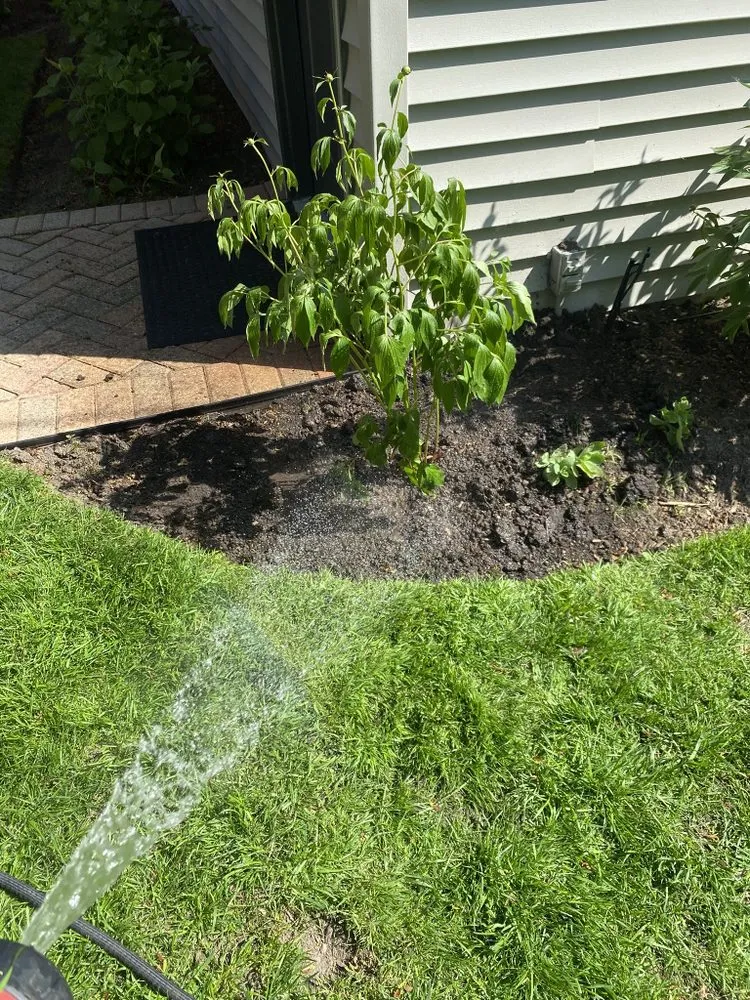 Professional landscape installation experts serving Chicago, IL - M&S Landscape Services & Snow Removal