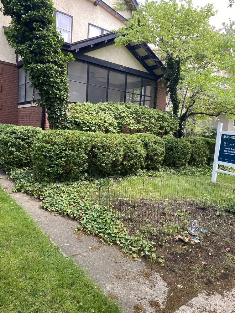 Local lawn mowing service experts serving Chicago, IL - M&S Landscape Services & Snow Removal