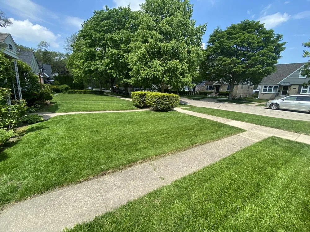 Local landscape design experts serving Chicago, IL - M&S Landscape Services & Snow Removal