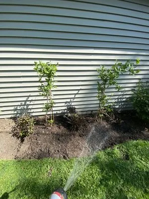 M&S Landscape Services & Snow Removal Logo