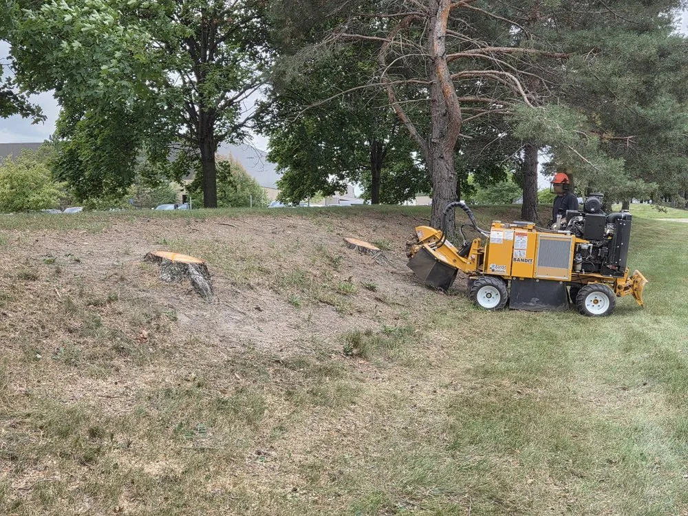 Professional lawn care service for homes in Waterford Township, MI by M&S Landscape