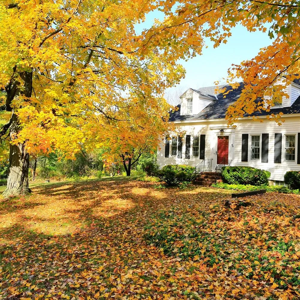 Top-rated lawn care service in Worcester, MA - M&S Landscape