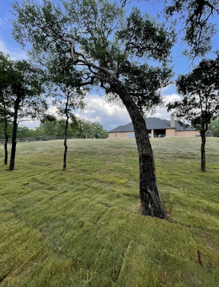 Top-rated yard maintenance in Joshua, TX by MS Landscaping & Irrigation