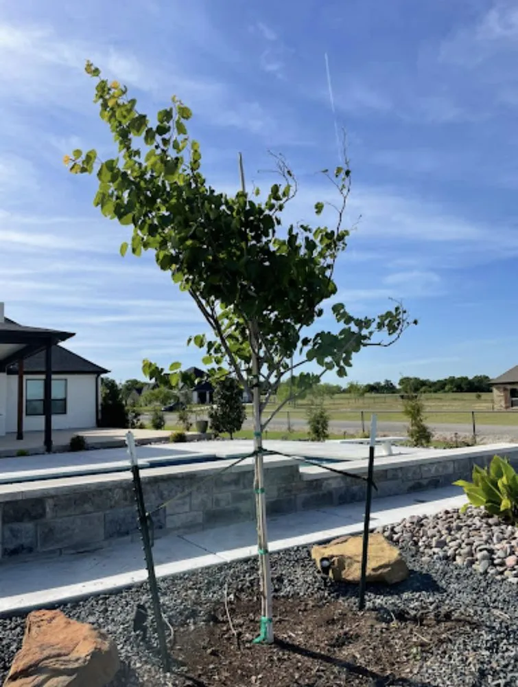 Affordable garden landscaping for outdoor upgrades in Joshua, TX by MS Landscaping & Irrigation