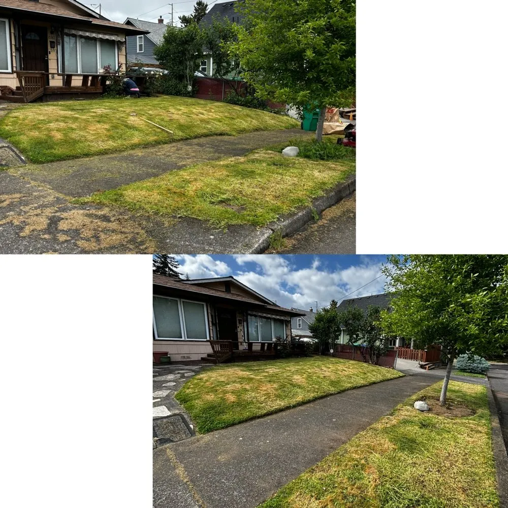 Local landscaping services in Portland, OR by M&S Landscaping and Detailing