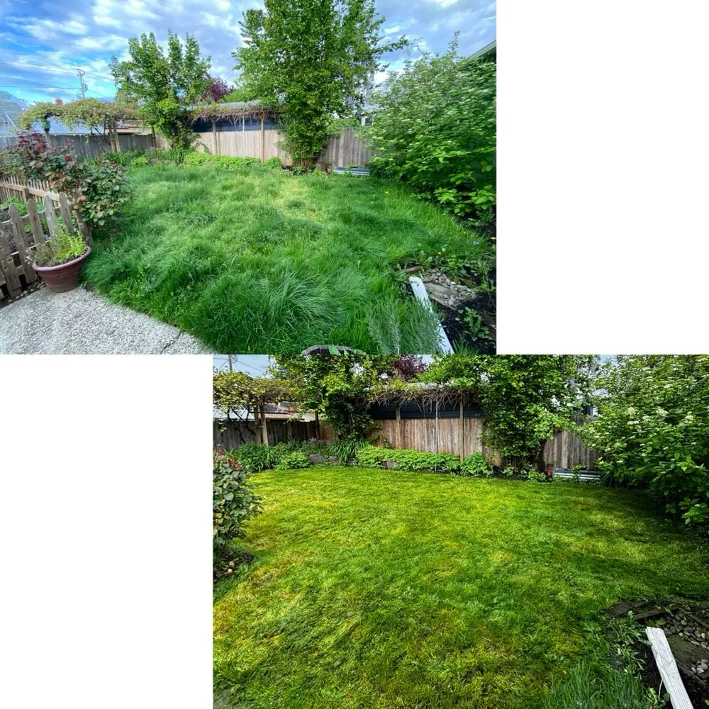 Custom garden landscaping experts serving Portland, OR - M&S Landscaping and Detailing