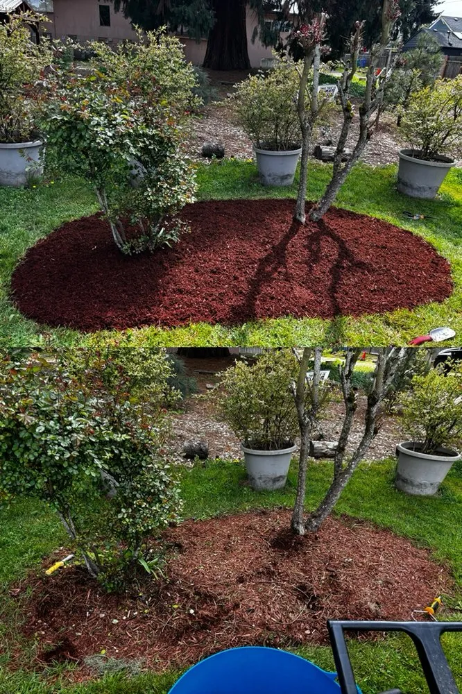 Custom yard maintenance for residential properties across Portland, OR - M&S Landscaping and Detailing