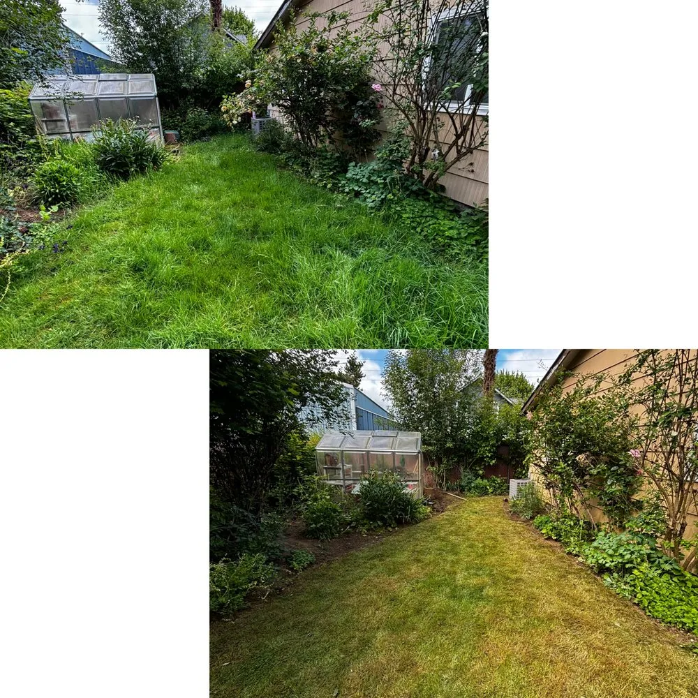 Affordable residential landscaping for homes across Portland, OR - M&S Landscaping and Detailing