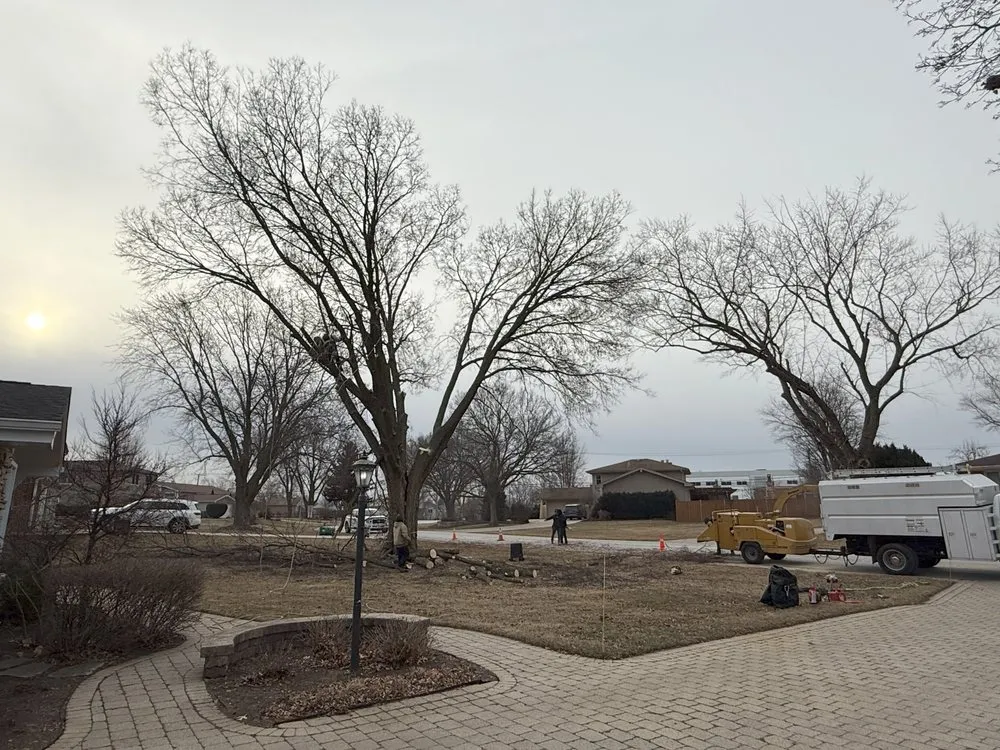 Reliable lawn care service in Glendale Heights, IL by M.S landscaping and tree service