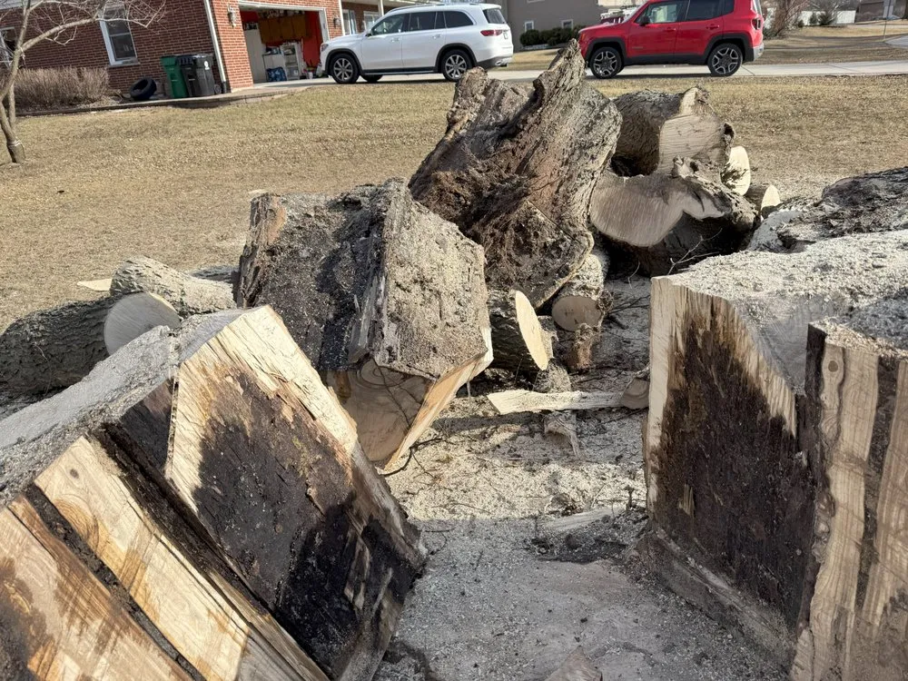 Reliable lawn mowing service experts serving Glendale Heights, IL - M.S landscaping and tree service