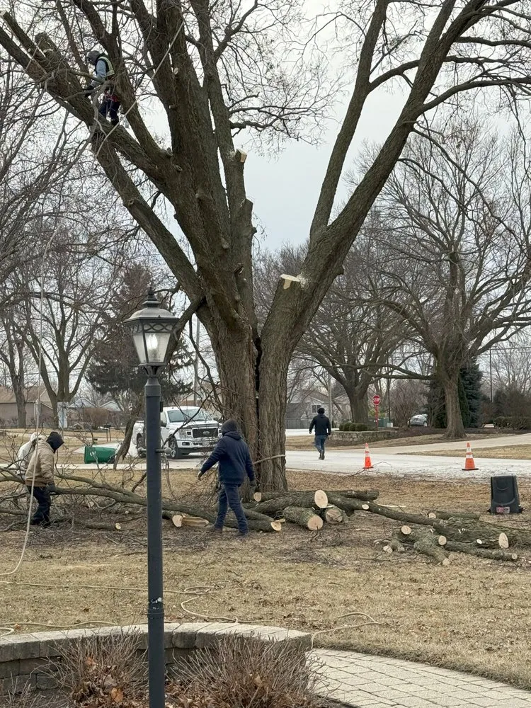 Professional residential landscaping in Glendale Heights, IL - M.S landscaping and tree service