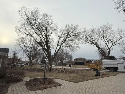 M.S landscaping and tree service