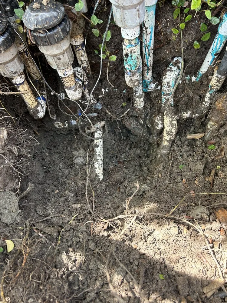 Professional landscaping services experts serving Carson, CA - MS Landscaping