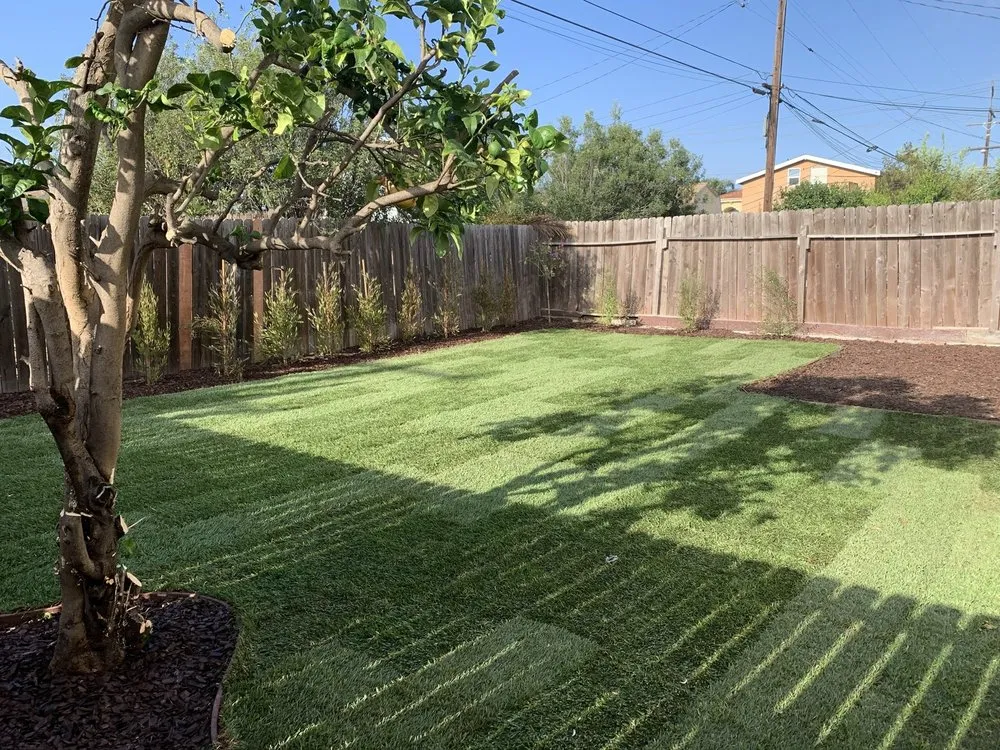 Professional yard cleanup service for homes in Carson, CA by MS Landscaping