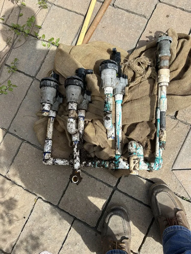 Local landscape installation in Carson, CA by MS Landscaping