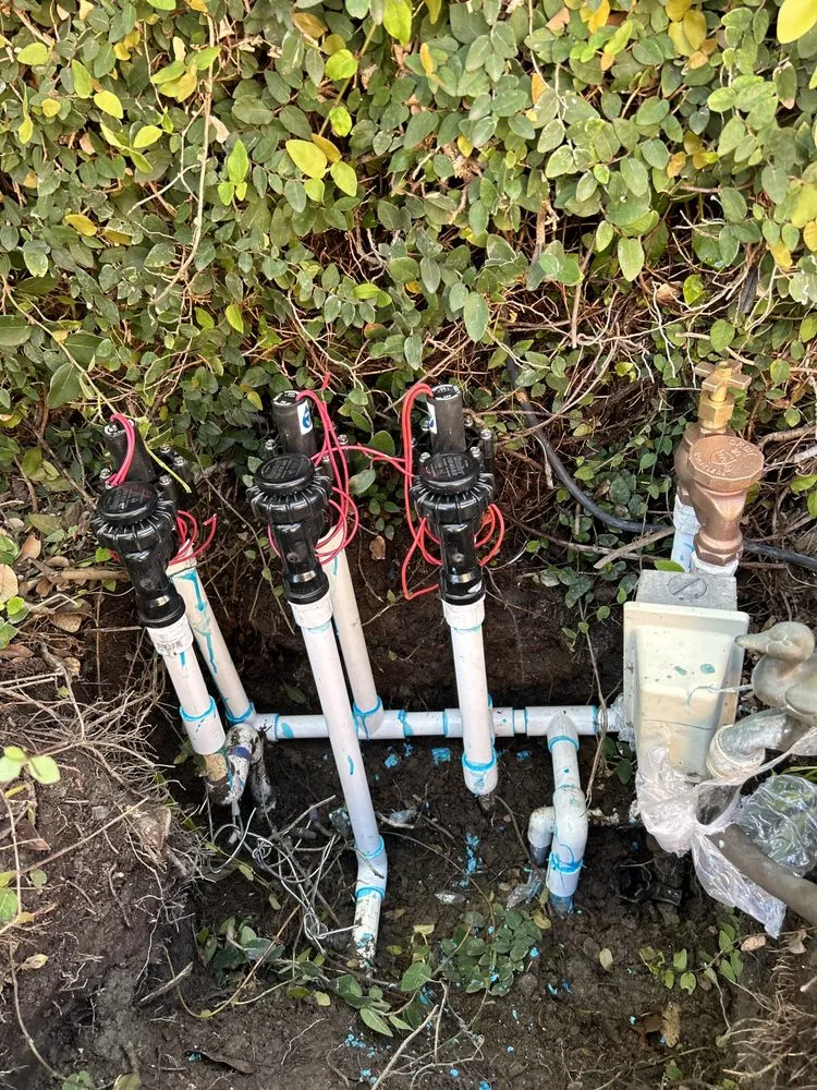 Reliable yard maintenance in Carson, CA by MS Landscaping