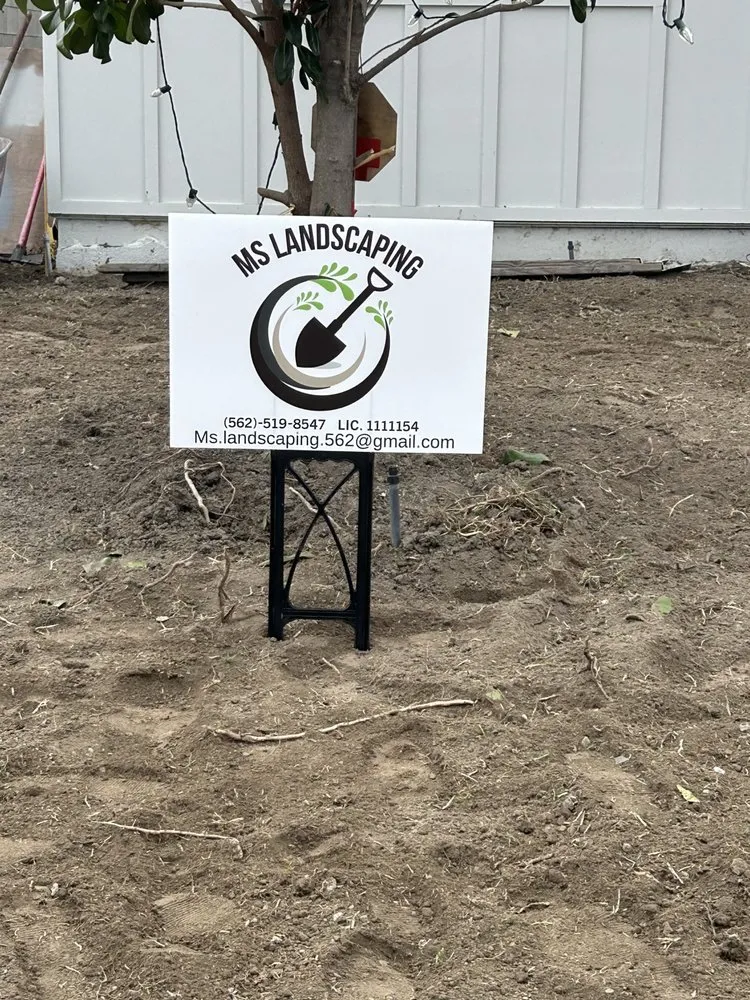 Professional lawn mowing service for homes across Carson, CA - MS Landscaping