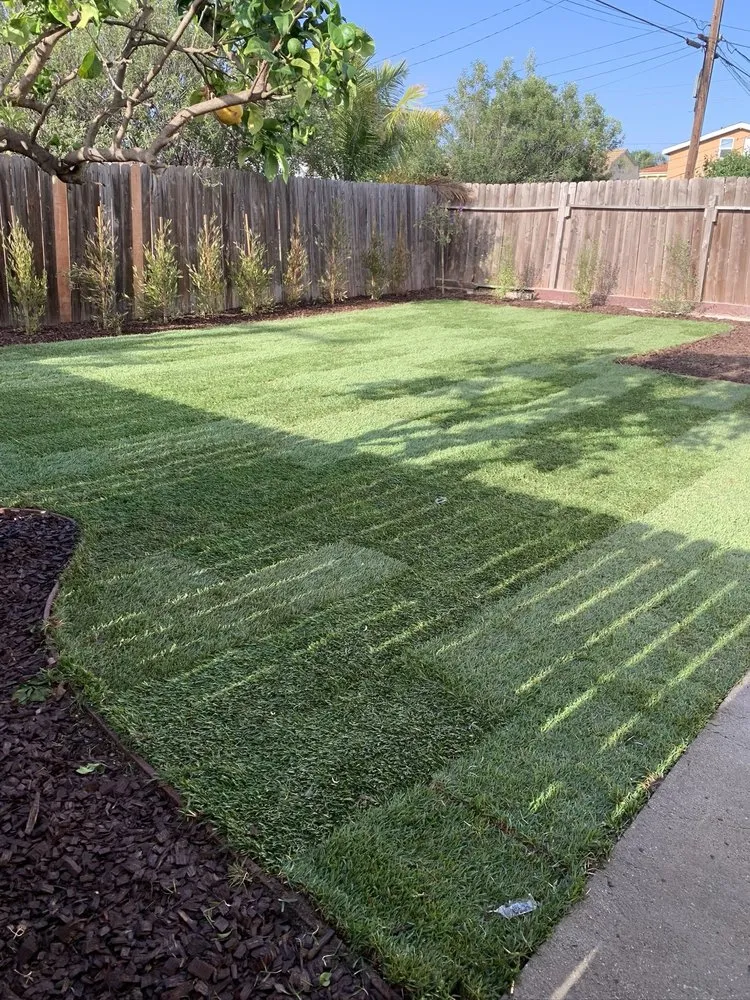Reliable outdoor landscaping in Carson, CA - MS Landscaping