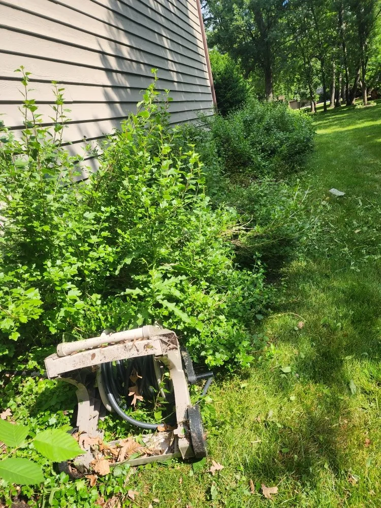 Affordable landscape design experts serving Elgin, IL - M&S Landscaping