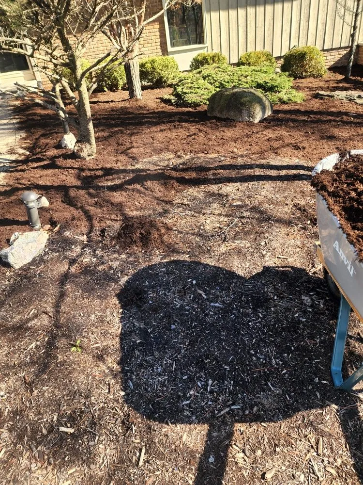 Trusted yard cleanup service for year-round maintenance in Elgin, IL by M&S Landscaping