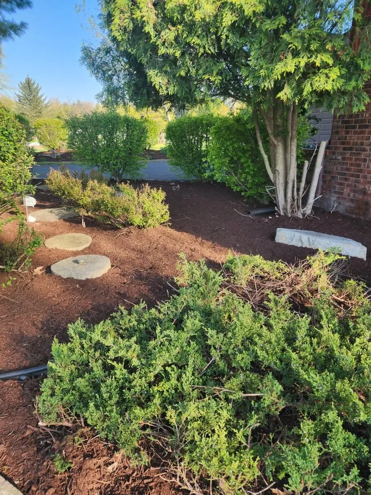Trusted yard cleanup service experts serving Elgin, IL - M&S Landscaping