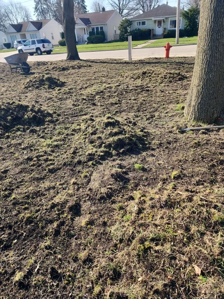 Local garden landscaping in Elgin, IL by M&S Landscaping