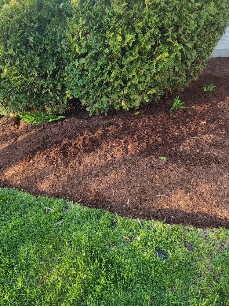 Expert landscape installation experts serving Elgin, IL - M&S Landscaping