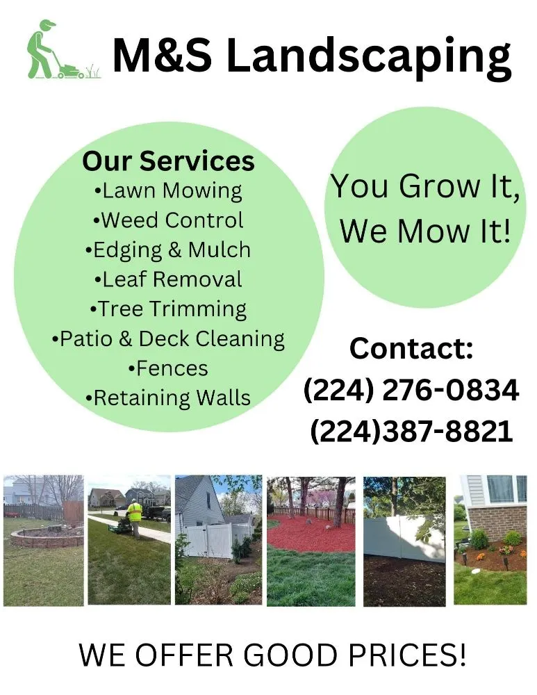 Expert yard cleanup service experts serving Elgin, IL - M&S Landscaping