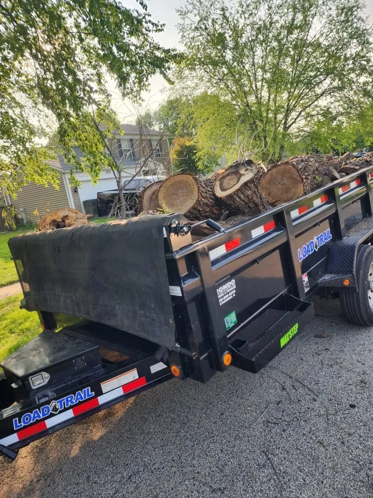 Top-rated lawn mowing service in Elgin, IL - M&S Landscaping