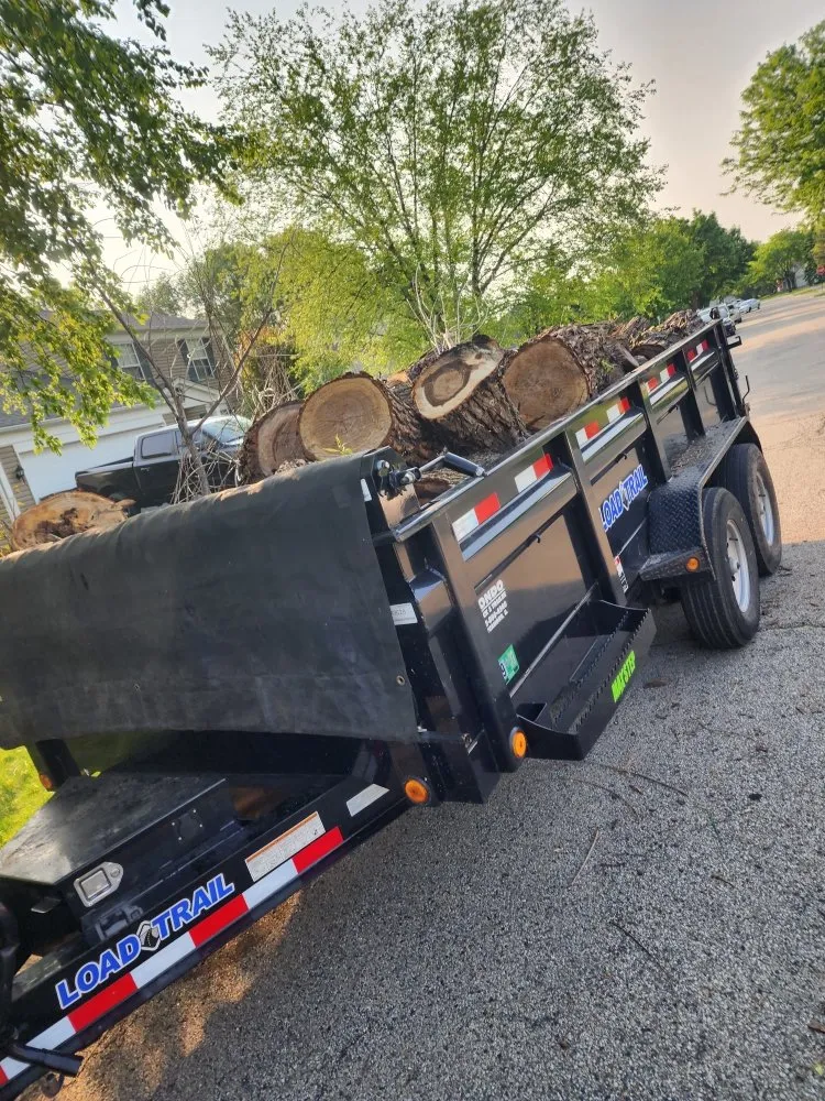 Trusted landscaping services in Elgin, IL by M&S Landscaping