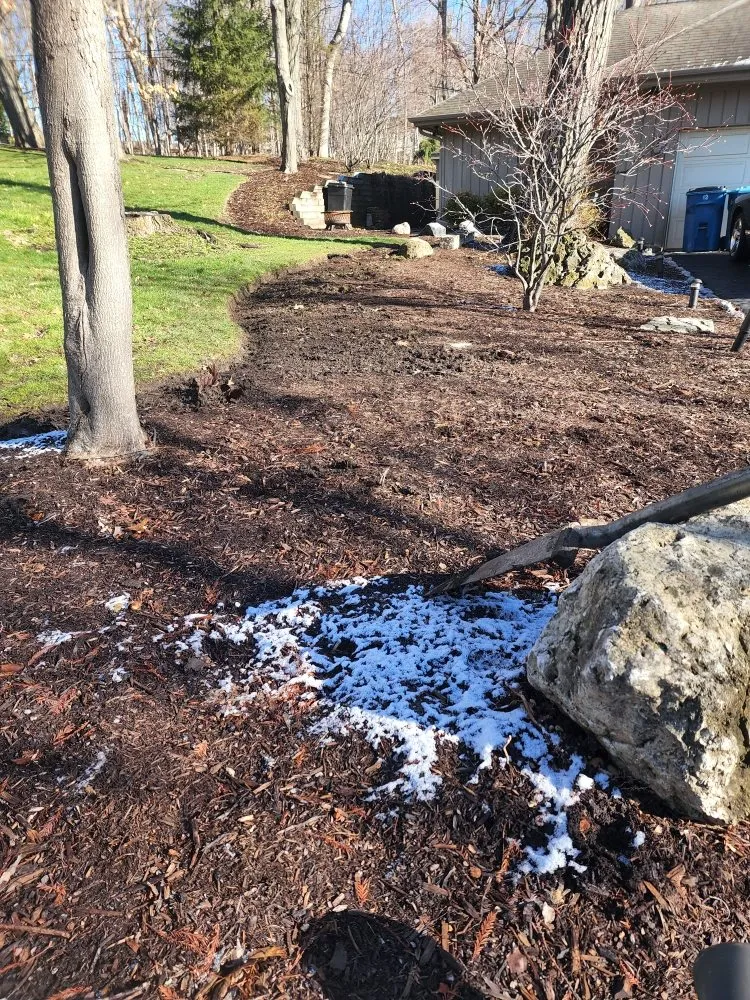 Top-rated landscape installation in Elgin, IL - M&S Landscaping