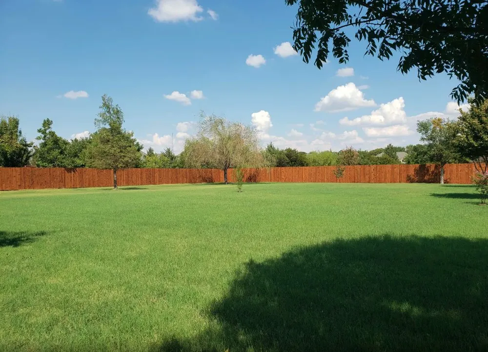 Professional lawn mowing service for beautiful yards in Fort Worth, TX by MS Landscaping