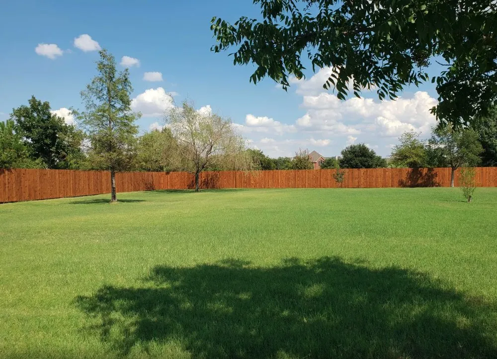 Top-rated yard cleanup service in Fort Worth, TX by MS Landscaping