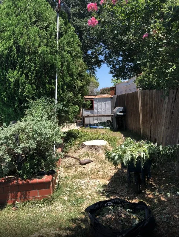 Local landscaping services in Fort Worth, TX by MS Landscaping