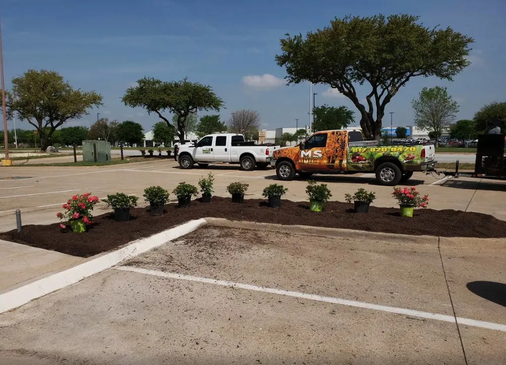 Local garden landscaping with custom design across Fort Worth, TX - MS Landscaping