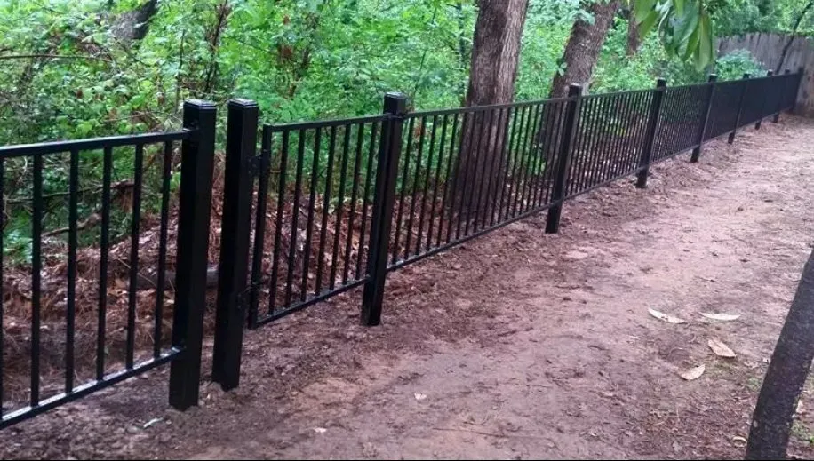 Professional yard maintenance in Fort Worth, TX by MS Landscaping