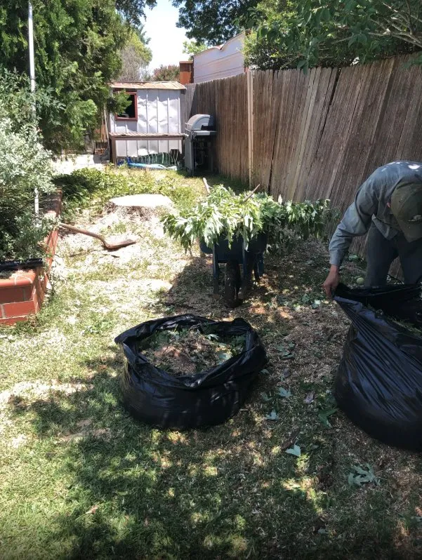 Reliable lawn care service experts serving Fort Worth, TX - MS Landscaping