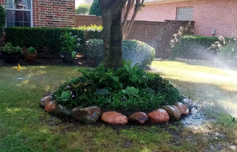 Expert landscape design in Fort Worth, TX - MS Landscaping