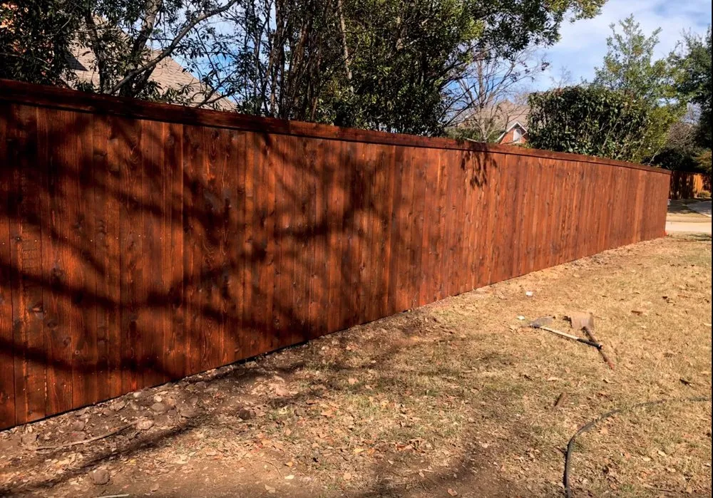 Top-rated yard cleanup service in Fort Worth, TX by MS Landscaping