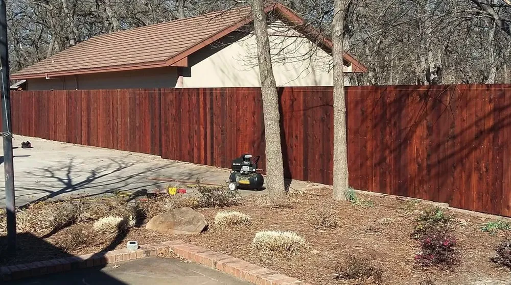 Expert yard cleanup service near you across Fort Worth, TX - MS Landscaping