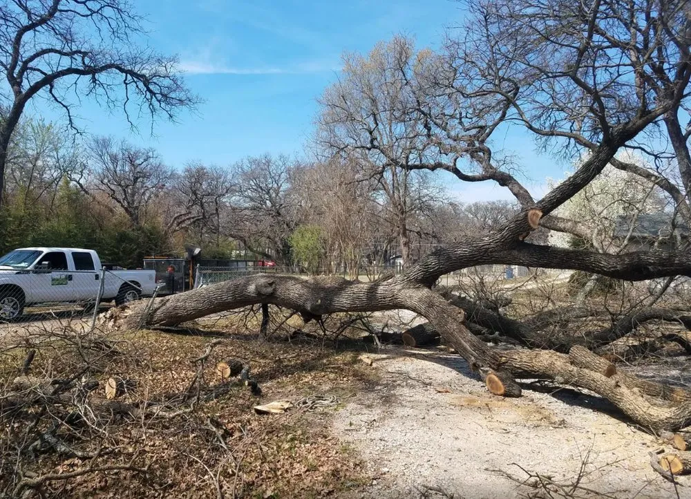 Reliable outdoor landscaping for residential properties in Fort Worth, TX by MS Landscaping