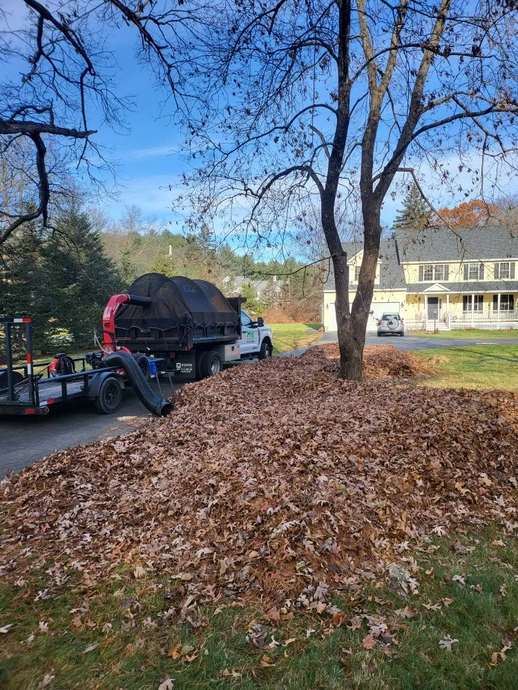 Professional lawn care service experts serving Groton, MA - M&S Landscaping