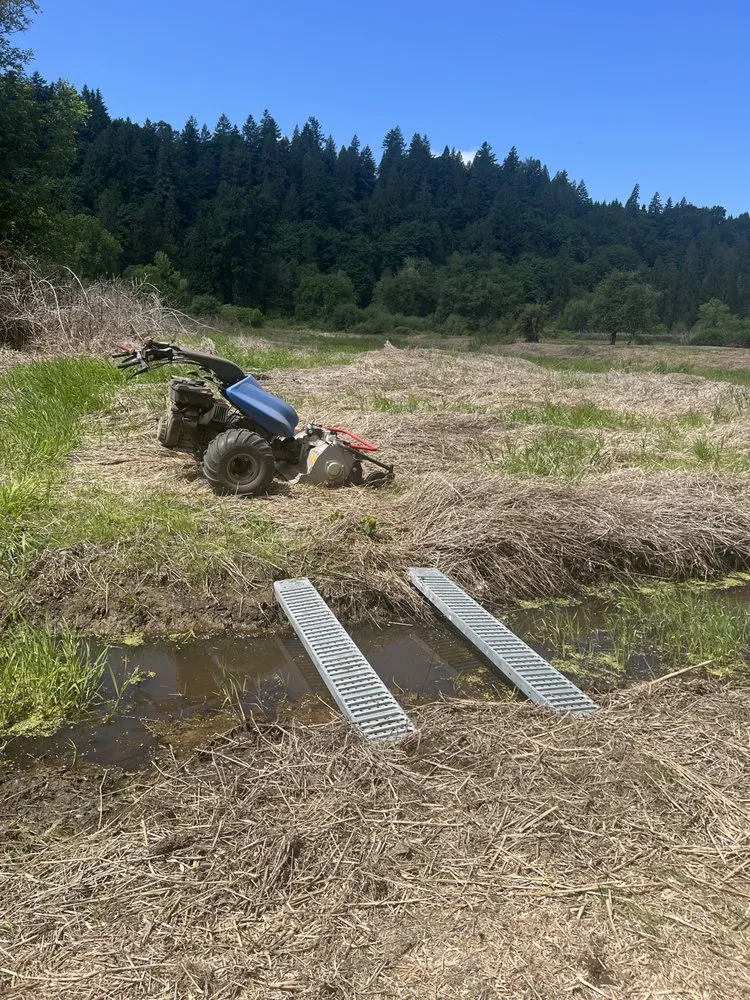 Top-rated yard maintenance for outdoor upgrades in Longview, WA by M&S Landscaping