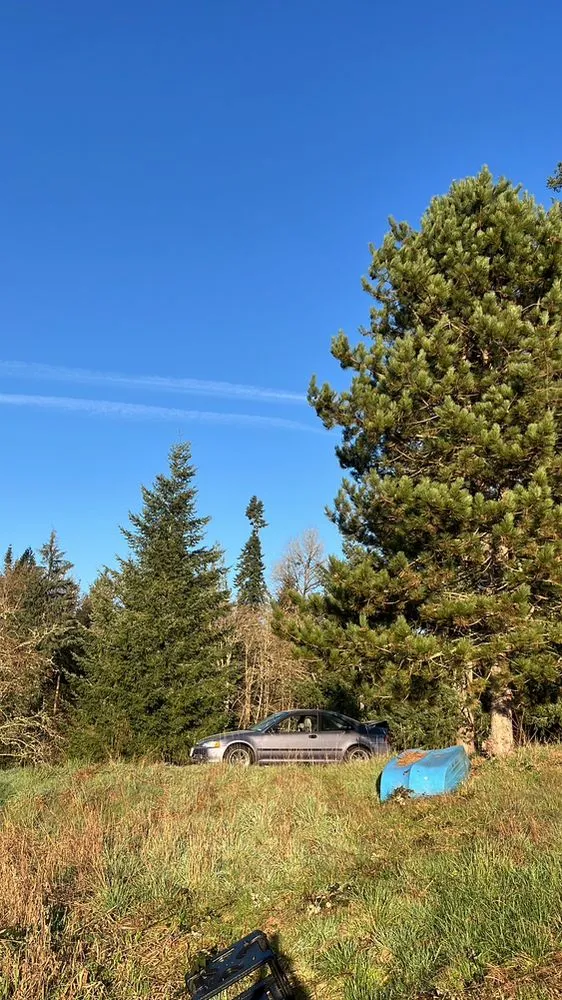 Affordable garden landscaping experts serving Longview, WA - M&S Landscaping