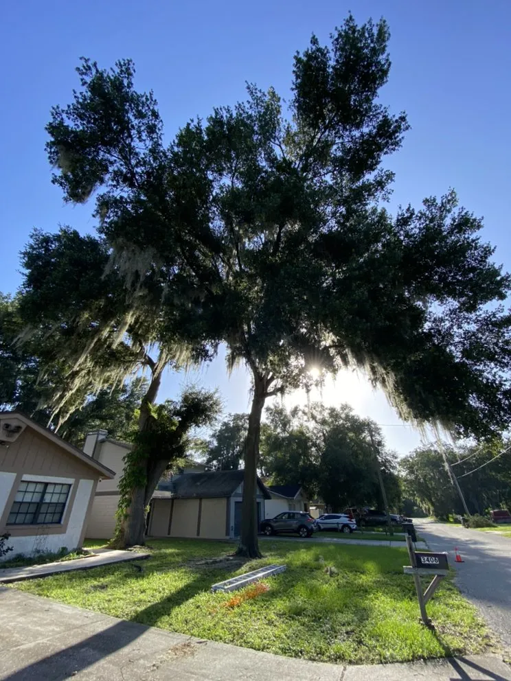 Trusted landscape design experts serving Plant City, FL - MS Landscaping of Florida