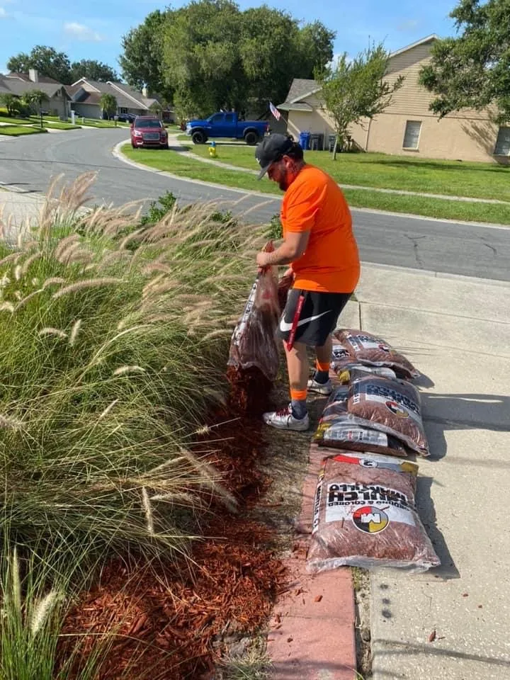 Local landscape installation for beautiful yards in Plant City, FL by MS Landscaping of Florida