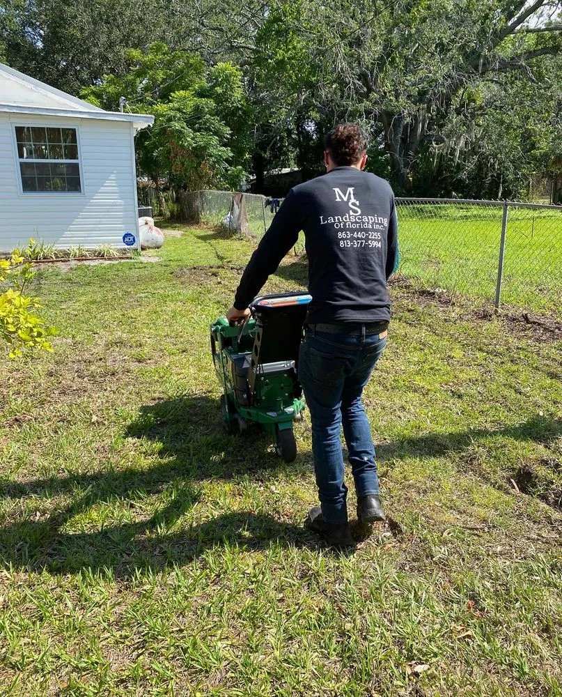 Custom yard cleanup service in Plant City, FL by MS Landscaping of Florida
