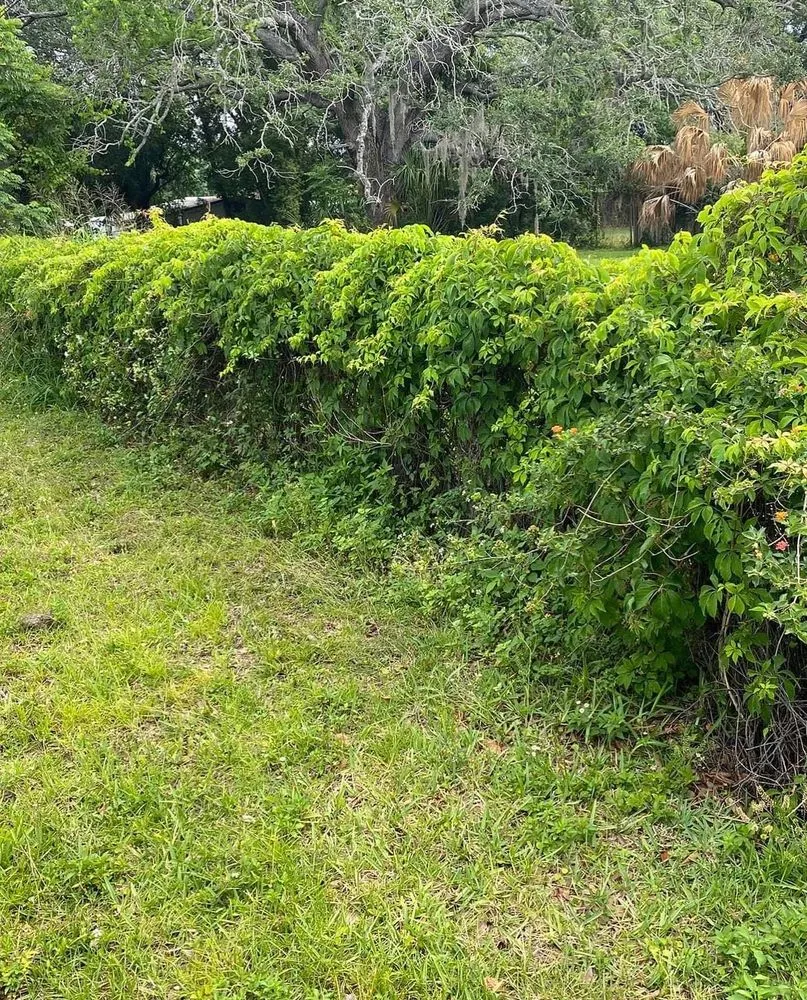 Custom garden landscaping for beautiful yards in Plant City, FL by MS Landscaping of Florida