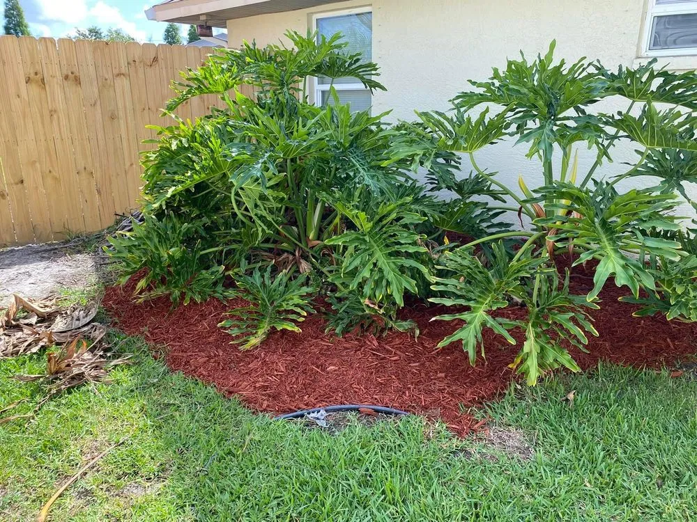 Top-rated residential landscaping experts serving Plant City, FL - MS Landscaping of Florida